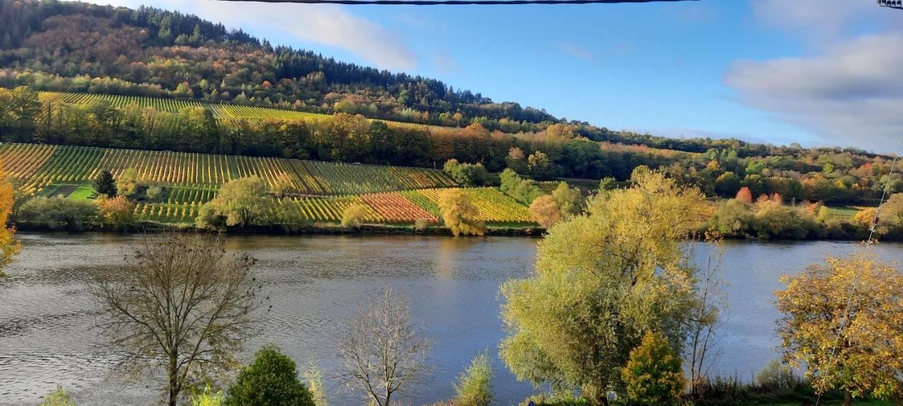 Apartment In Spay Smile Zell-Merl Mosel المظهر الخارجي الصورة